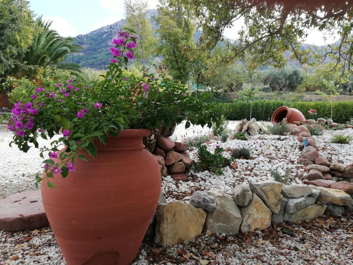 Alojamiento Rural Casa Fuente Del Prado La Iruela Dış mekan fotoğraf