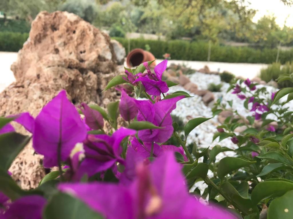 Alojamiento Rural Casa Fuente Del Prado La Iruela Dış mekan fotoğraf
