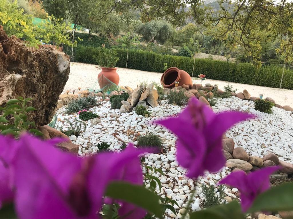 Alojamiento Rural Casa Fuente Del Prado La Iruela Dış mekan fotoğraf